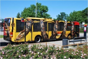 Publicidad para Zoológico