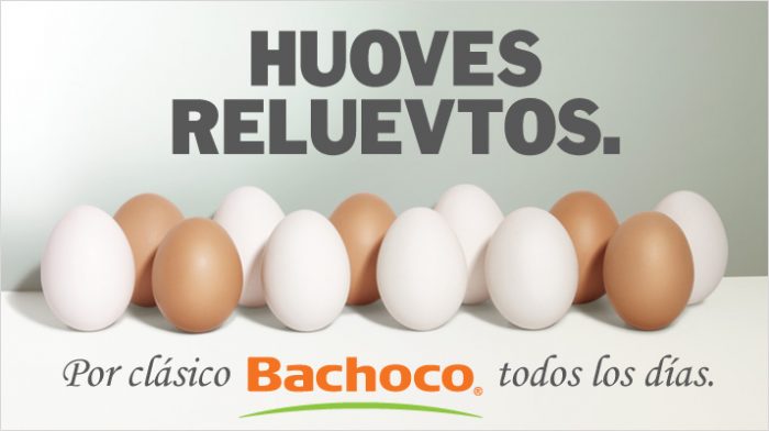 que son los insights