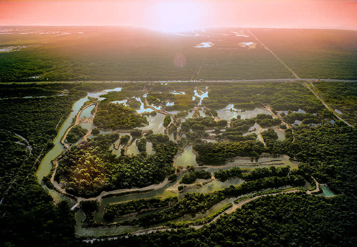 Xoximilco Sustentable