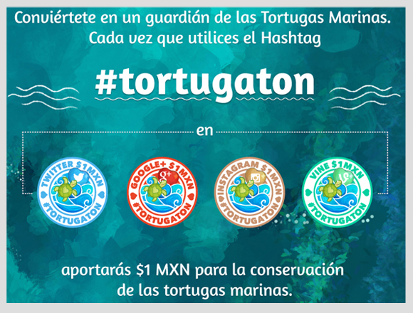 Tortugaton 2014