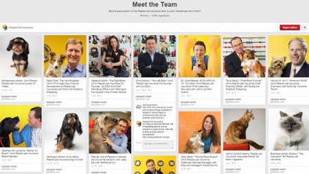 PetPlan-Meet-the-Team
