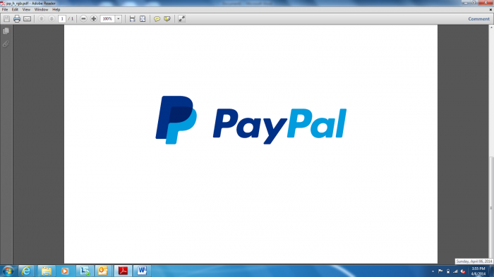 Estudio de Pay Pal
