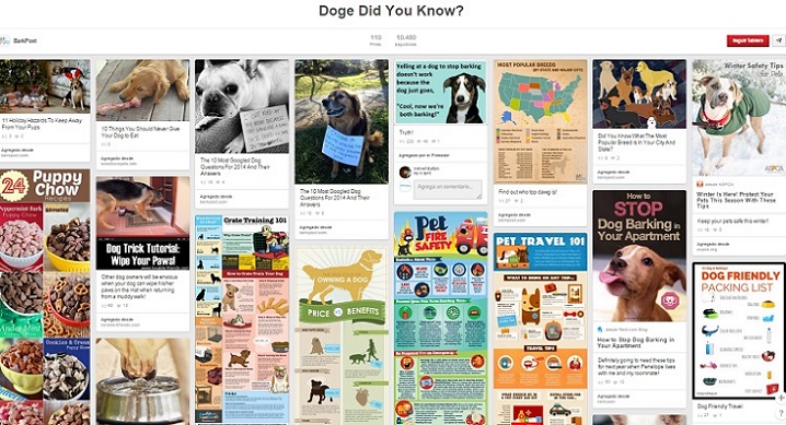 Tablero Doge Did You Know de BarkPost
