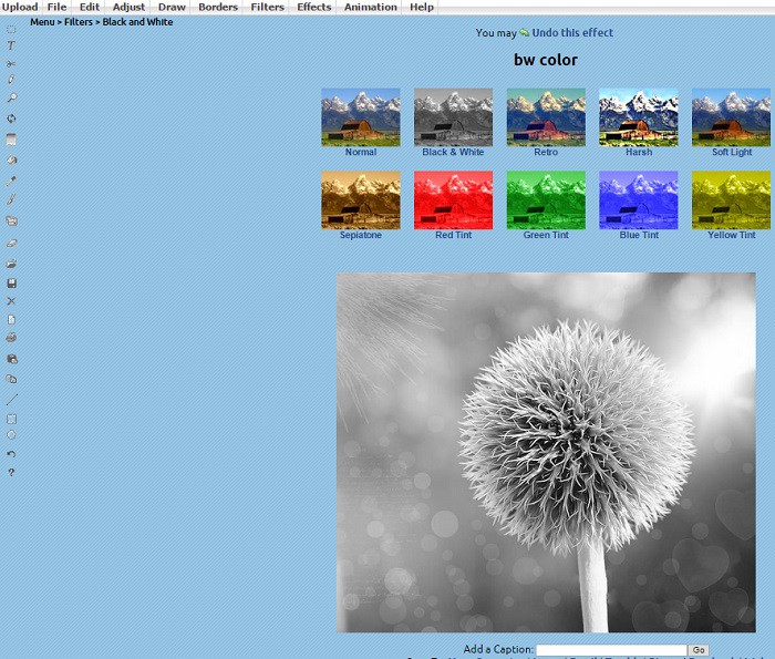 Ejemplo-LunaPic-Black&White