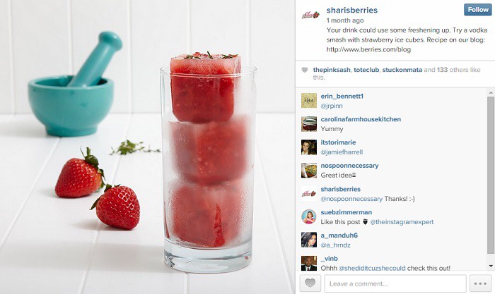 Sharisberries-ejemplo3