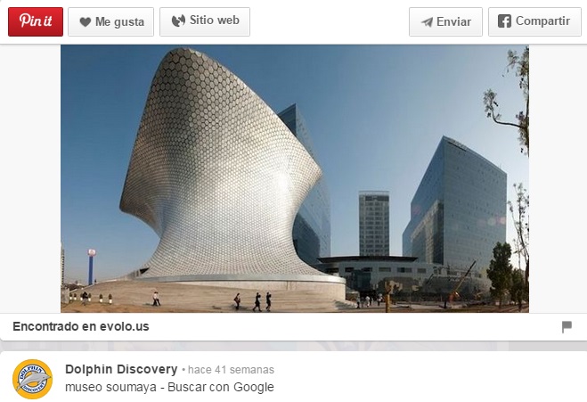 Ultimo-pin-de-DolphinDiscovery