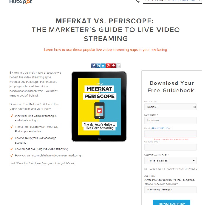 DescargaelebookHubspot Luis Maram