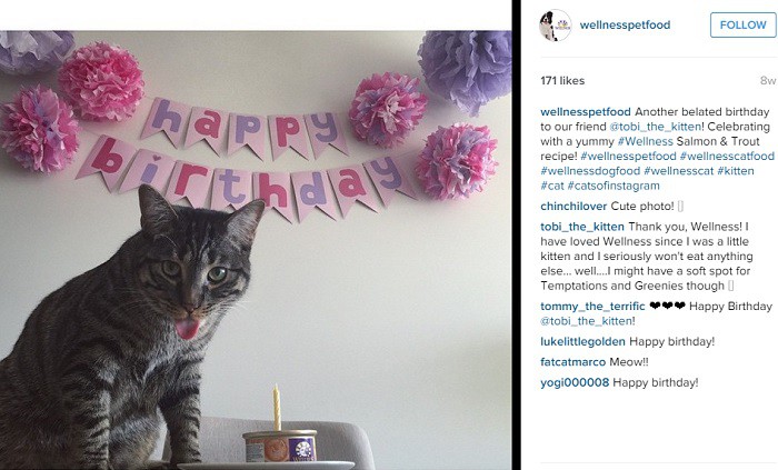 WellnessPetFood-foto-de-cliente