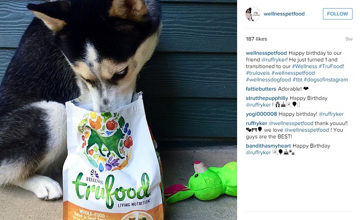 WellnessPetFood-foto-de-cliente2