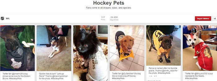 NHL-tablero-Hockey-Pets