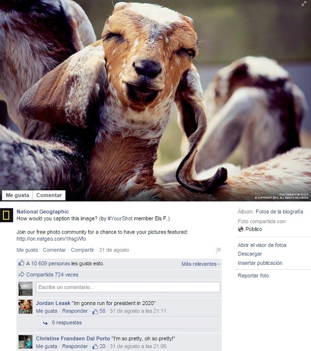 Caption-this-ejemplo-de-NationalGeographic