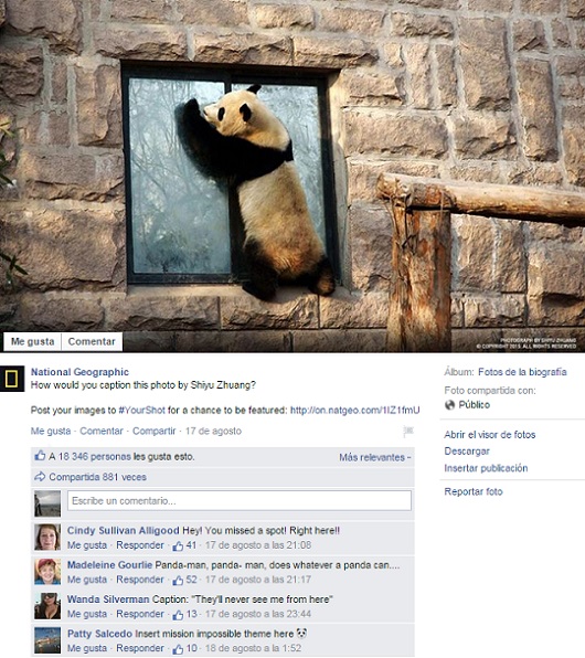 Caption-this-ejemplo-de-NationalGeographic2