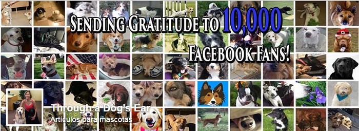 Ejemplo-portada-en-fb-ThroughaDogsEar-dar-las-gracias
