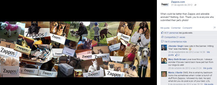 Ejemplo-portada-en-fb-Zappos-fans