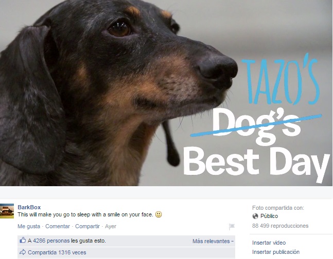 Ejemplo-video-de-BarkBox