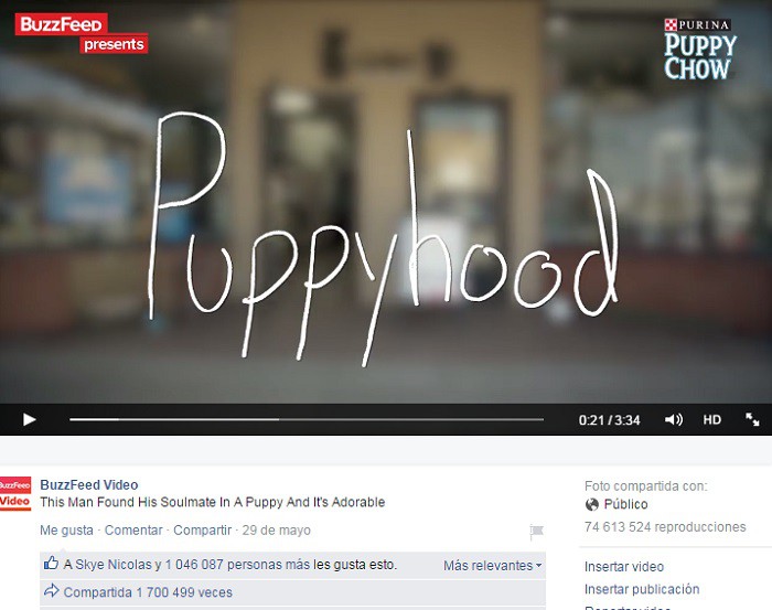 Ejemplo-video-de-BuzzFeed2