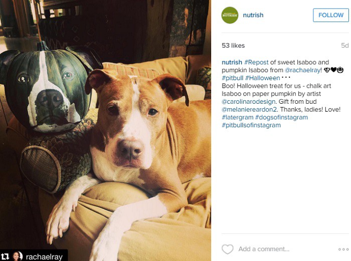 Ejemplo-de-UGC-Nutrish