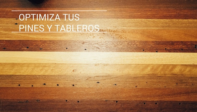 optimiza-tus-pines-y-tableros (1)