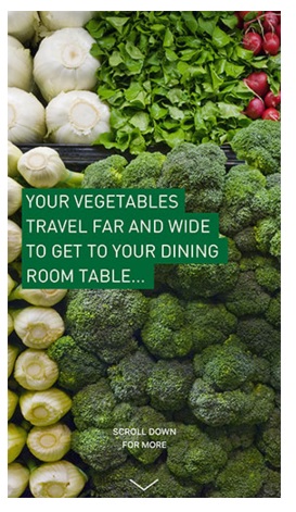 Ejemplo-foto-JaspersMarket