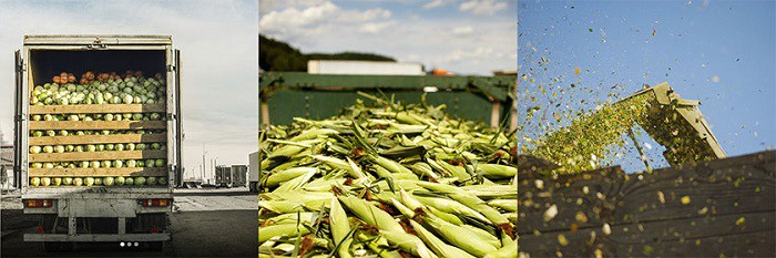 Ejemplo-secuencia-JaspersMarket