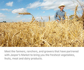 Ejemplo-video-JaspersMarket