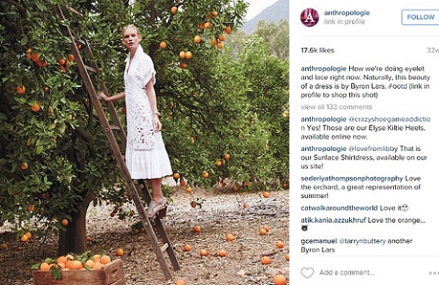 Ejemplo-Anthropologie