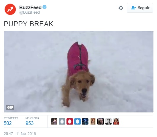 Ejemplo-uso-de-gifs-BuzzFeed