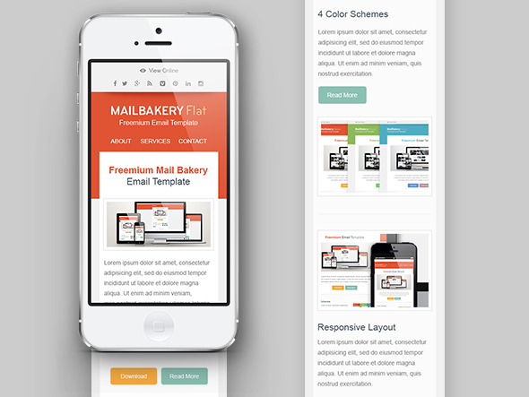 Newsletter adaptado a mobile