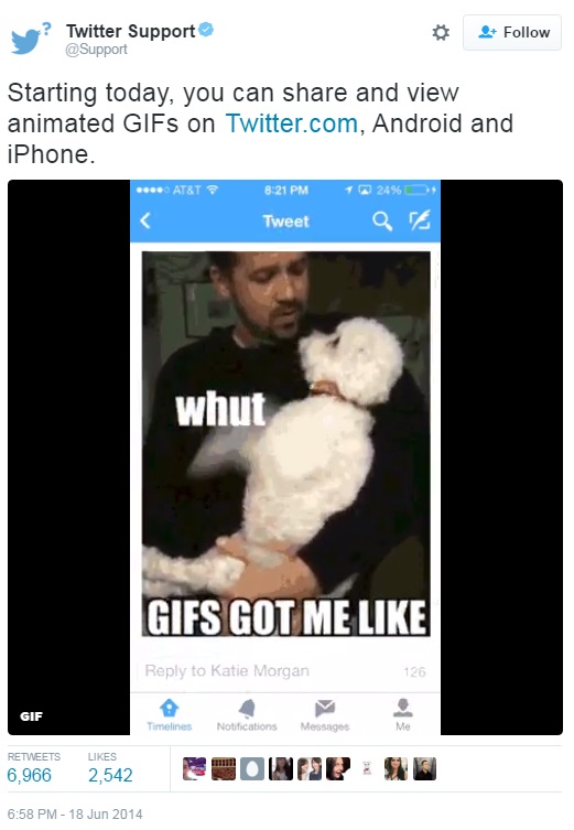 Twitter-introduce-los-gifs