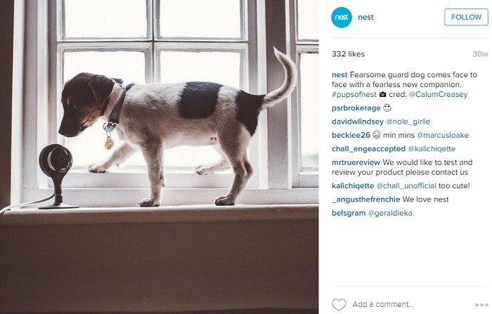 ejemplo-promocion-de-producto-de-nest