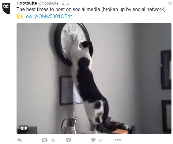 ejemplo-uso-de-gif-en-twitter2