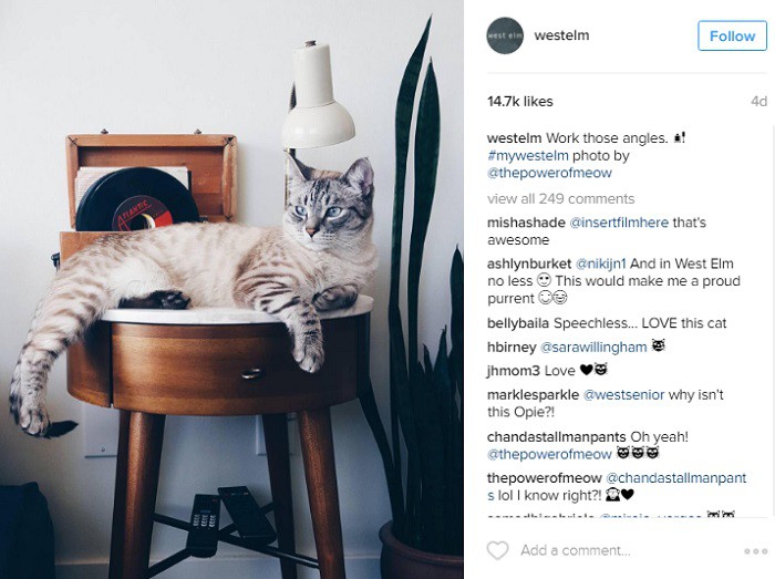 hashtag-ugc-ejemplo-westelm