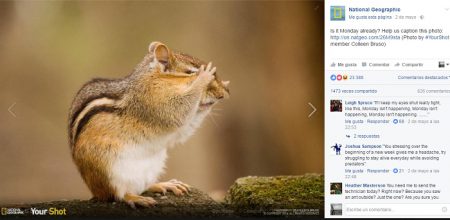 ejemplo-describe-esto-national-geographic