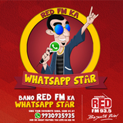 hacer mercadotecnia con whatsapp