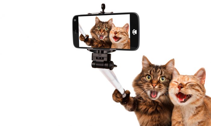 Como ser mejor en instagram