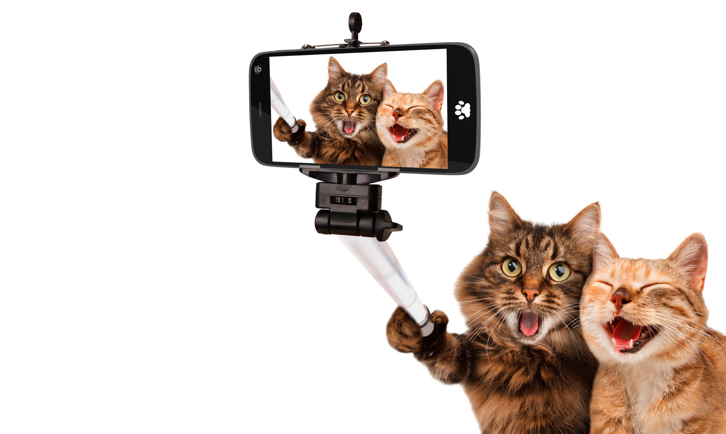 Como ser mejor en instagram