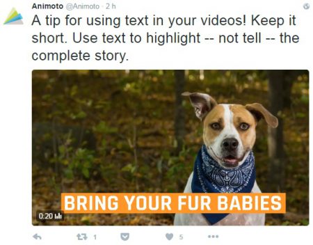 ejemplo-de-video-tip