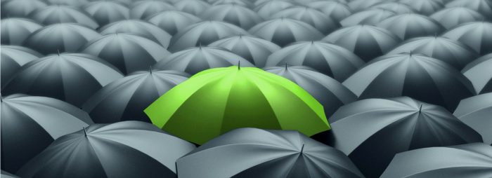 como hacer link building