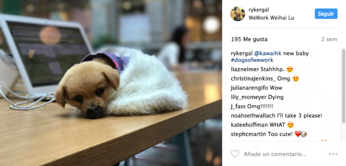 Casos de exito de marketing en Instagram