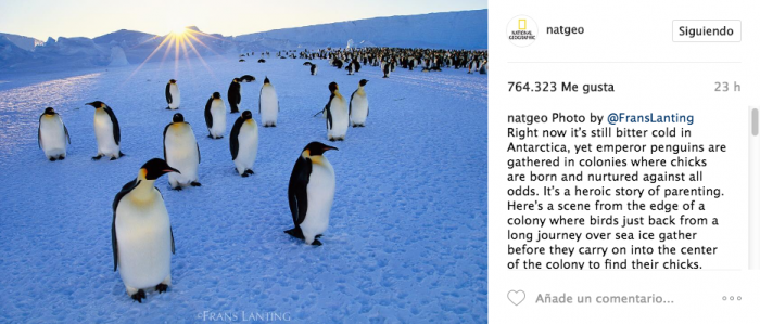 Marketing en Instagram - Caso NatGeo