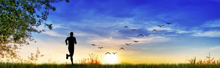 mercadólogo exitoso