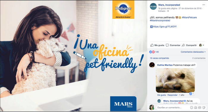 hacer contenido de marca