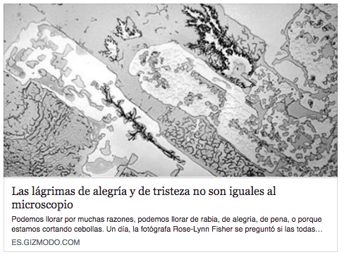 Lágrimas de alegría - títulos que se comparten en redes sociales