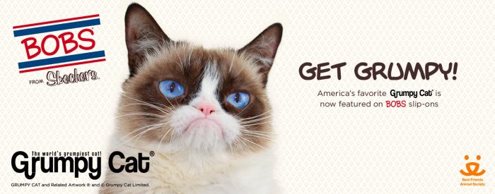  Grumpy Cat - Animales Influencers