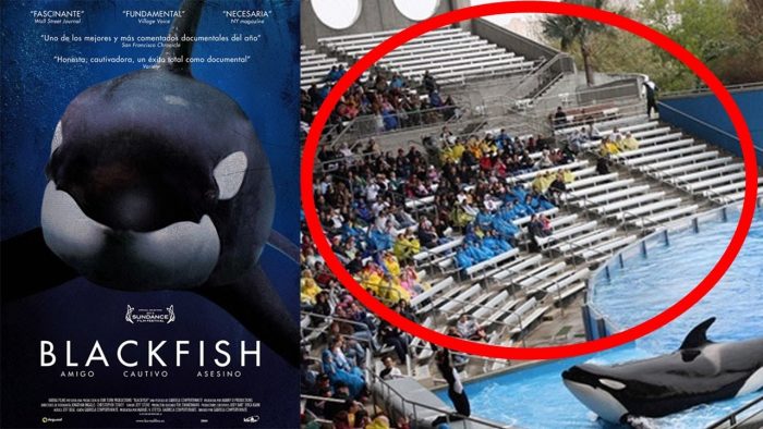 Esta es la primera de las cinco tendencias en reputación de marca y el caso Sea world