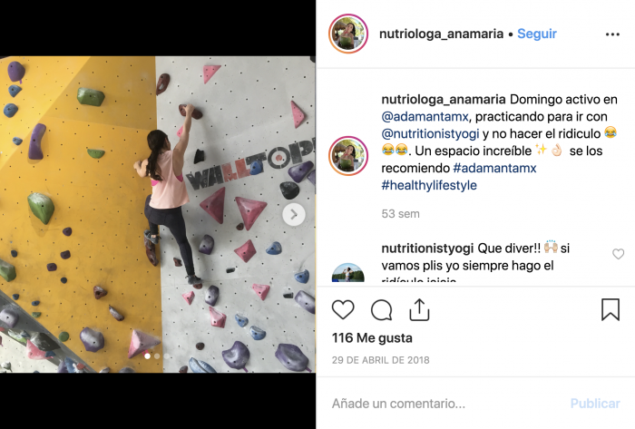  Ejemplo de influencer de nicho