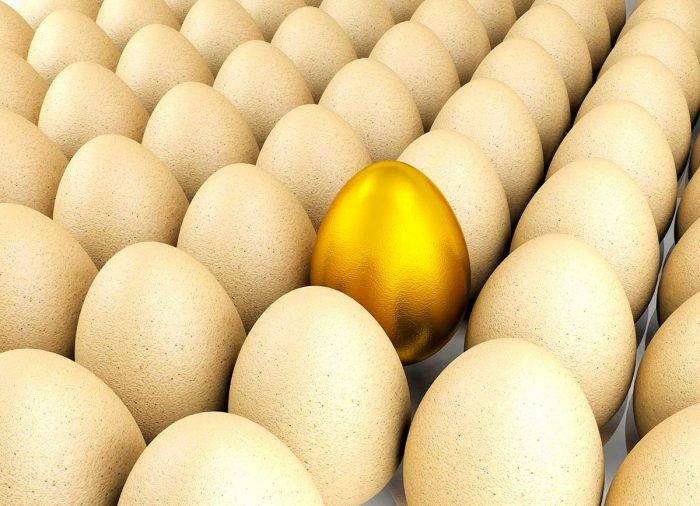 audiencia de un influencer