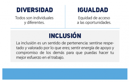 Que es inclusion