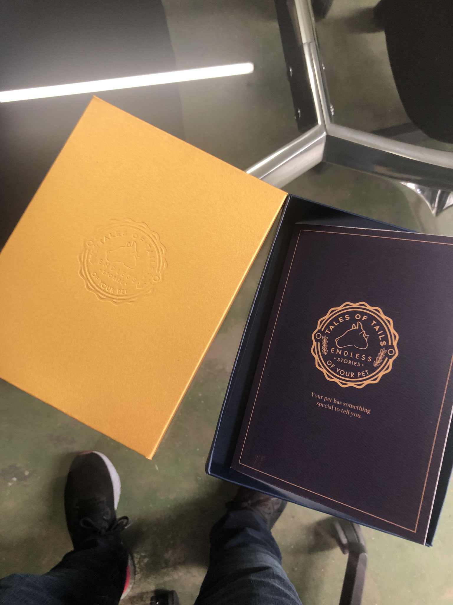 Ser emperradamente diferente - Tales of Tails