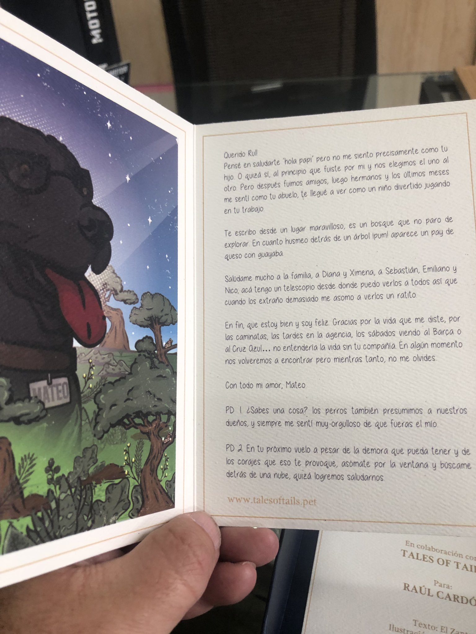 Ser emperradamente diferente - Tales of Tails